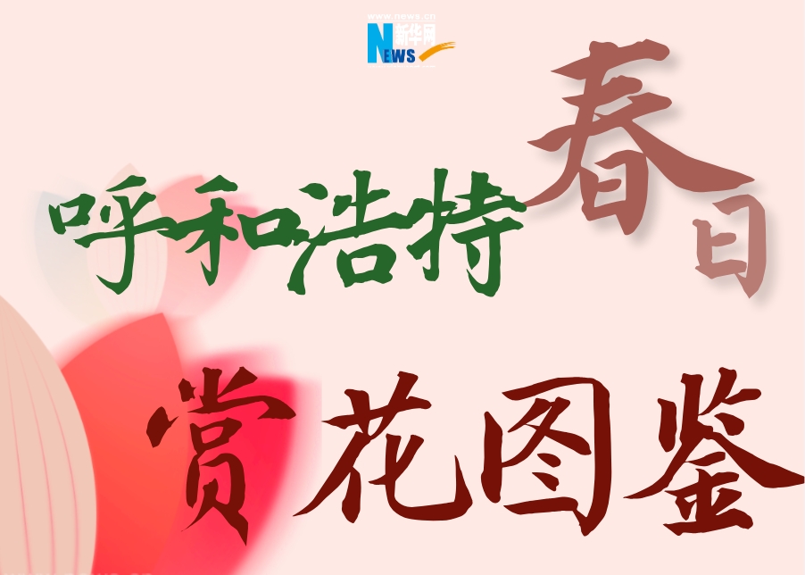 呼和浩特春日赏花图鉴