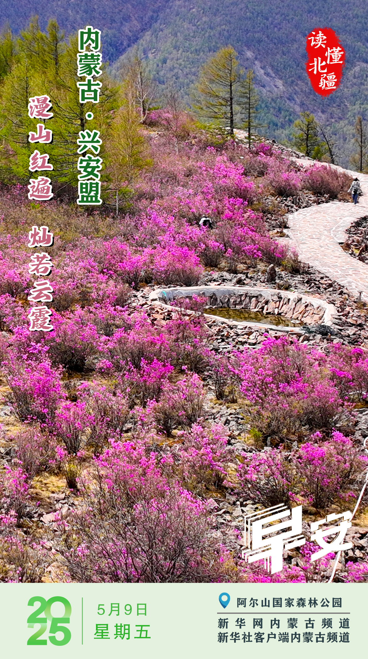 读懂北疆丨漫山红遍 灿若云霞 内蒙古兴安盟