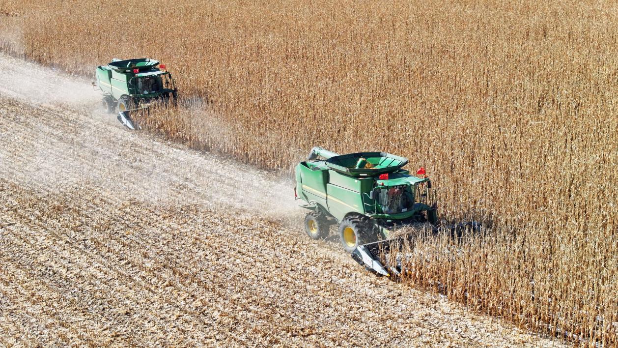 内蒙古呼伦贝尔：秋粮收储正当时