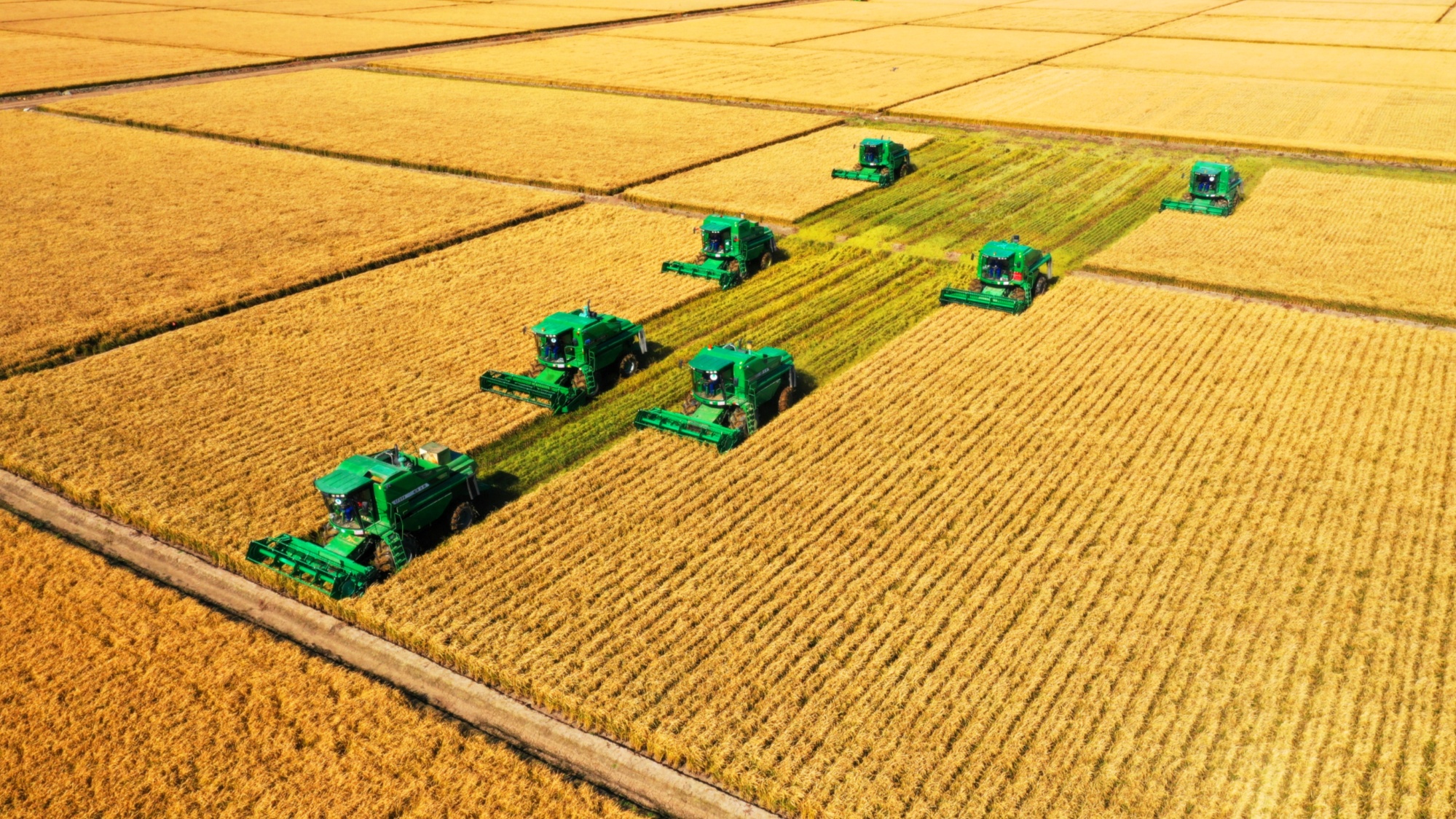 聚焦“1571”｜内蒙古：多措并举守牢粮仓