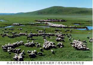 这是内蒙古畜牧业飞速发展的时期