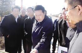 切实提升城市绿化亮化美化水平全力打造花园鄂尔多斯